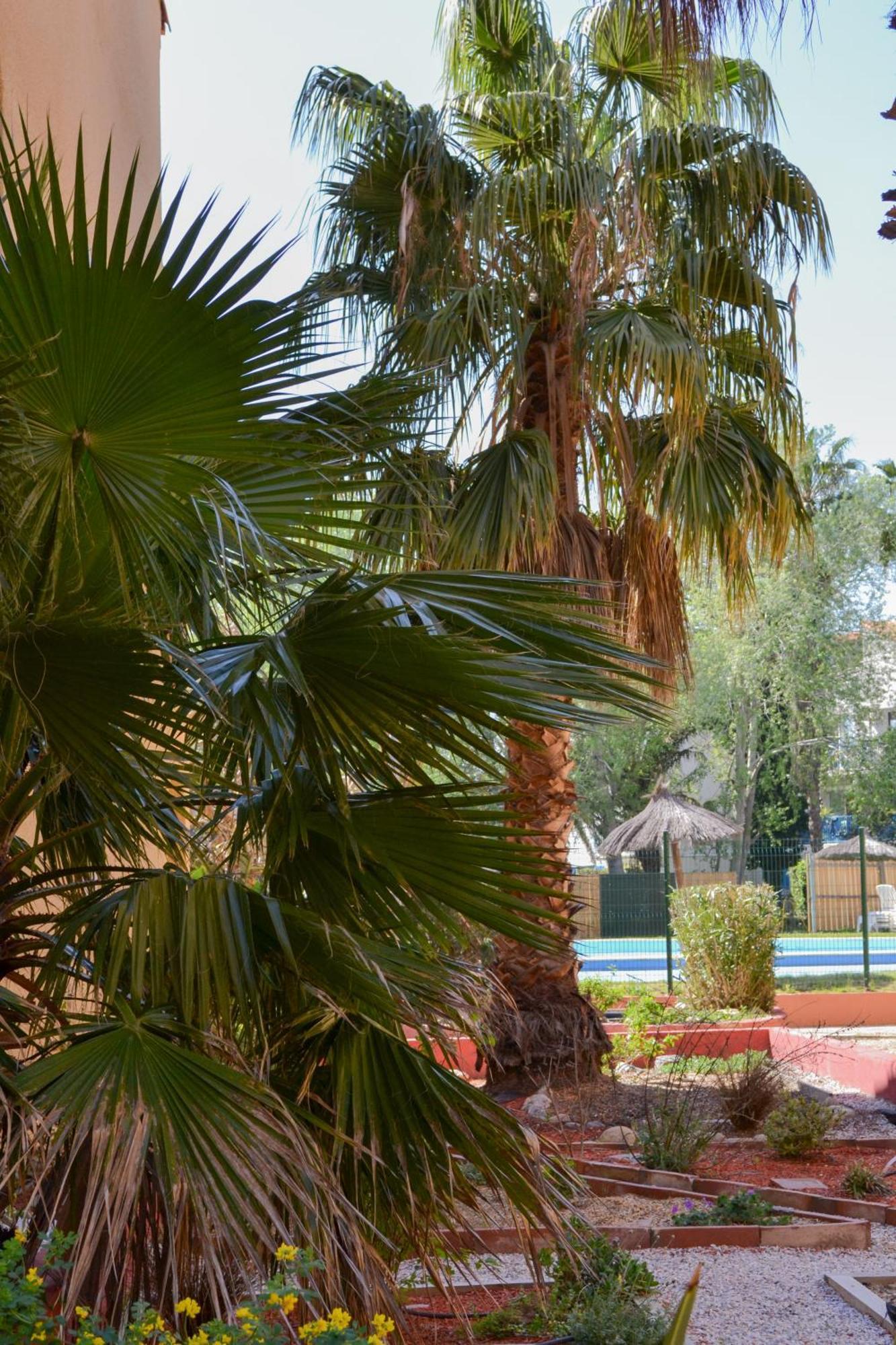 Malibu Village Canet-en-Roussillon Exterior photo